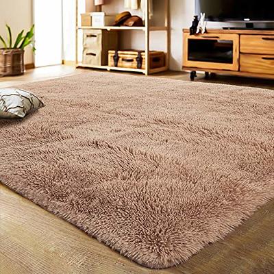 Floralux 7x10 Feet Area Rugs, Tie-Dyed Light Gray, Shag Rugs for Living  Room, Soft Indoor Modern Carpets for Bedroom, Nursery Shag Rug