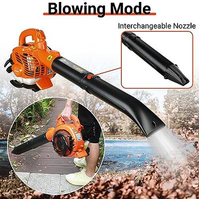 Leaf Blower Cordless with Battery and Charger, Battery Powered Electric  Leaf Blower, 2-in-1 Portable Mini Leaf Blower &Vacuum for Lawn Care,  Dust/Snow