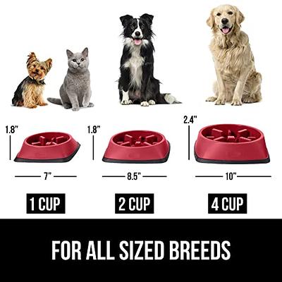 Miracle Vet Slow Feeder Dog Bowl for Fast Eaters - for Small, Medium Sized Dogs - Dog Puzzle Maze Helps Slow Down Eating - Adult, Puppy Food Bowl