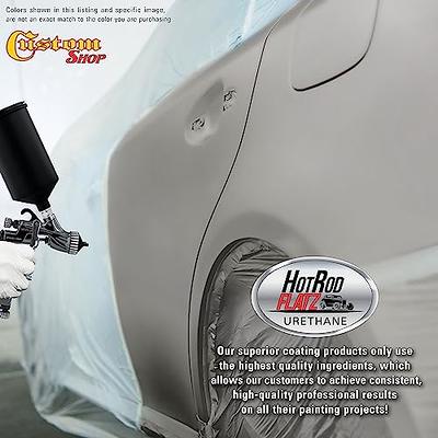 Restoration Shop - Dove Gray Acrylic Enamel Auto Paint - Complete Gallon  Paint Kit - Professional Single Stage High Gloss Automotive, Car, Truck