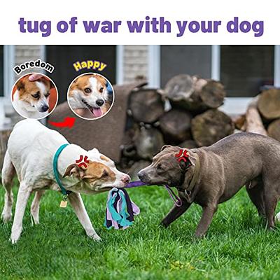 Dog Toys for Aggressive Chewers,Interactive Dog Toys Tug of War