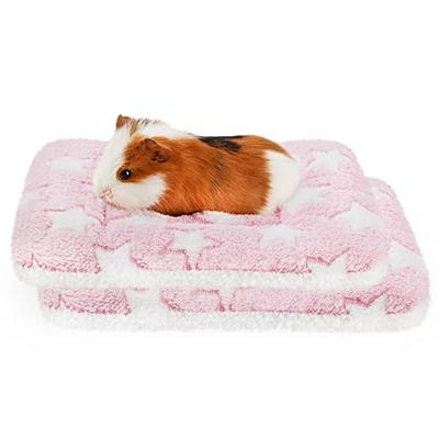 Winter Warm Pet Blanket Pet Floor Mat Soft Fleece Dog Bed Sleeping