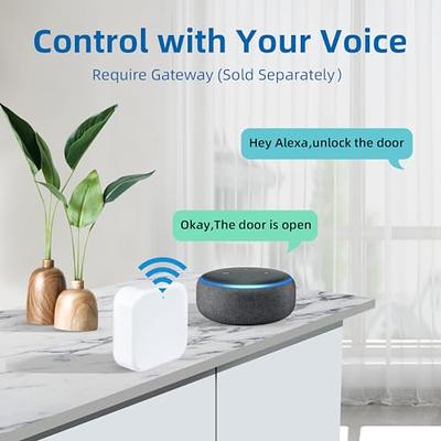 Tuya Smart Hub Bluetooth Gateway: Smart WiFi Bridge for NICE DIGI Smart  Door Lock and Tuya Bluetooth Device - Remote Control and Voice Control via