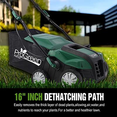 13Amp Electric Lawn Dethatcher+Scarifier 5 Adjustable Depth w/45L  Collection Bag