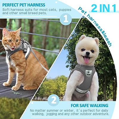 Comfort Soft Mesh Cat Harness & Leash