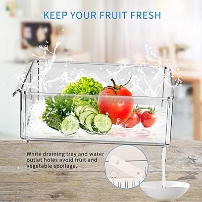 Mogtuo 12-pack Clear Refrigerator Organizer Bins with Lids, Stackable Fridge  Organizers And Storage Clear Plastic Fruit Storage Containers for Fridge  with 4 Drain Trays - Yahoo Shopping