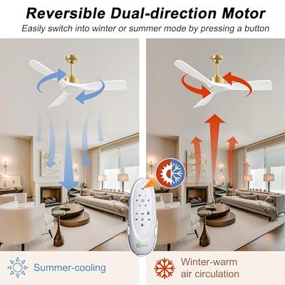 Indoor Outdoor Smart Ceiling Fans