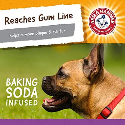 Arm & Hammer for Pets Nubbies Dental Toys - Chew Toy for Dogs, Nubbies Dog  Dental Toys - Best Dog Chew Toy, Dental Dog Toys, Arm and Hammer Nubbies  Toys for Dogs 