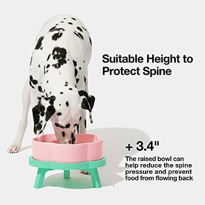 Elevated Dog Bowls for Medium Large Sized Dogs