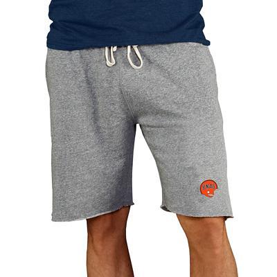 Dick's Sporting Goods NFL Team Apparel Men's Los Angeles Chargers Royal  Mainstream Terry Shorts