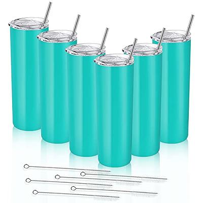 Bluey Skinny Tumbler With Straw 20oz 