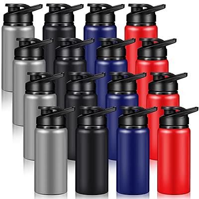 Sporty Aluminum Water Bottle w Carabiner 20 oz Bottles