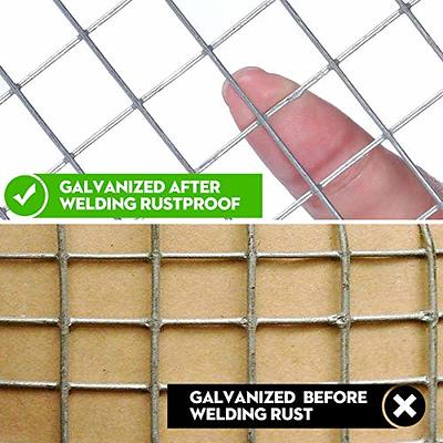 Galvanized Poultry Net - Metal Mesh Fencing / Chicken Wire 2