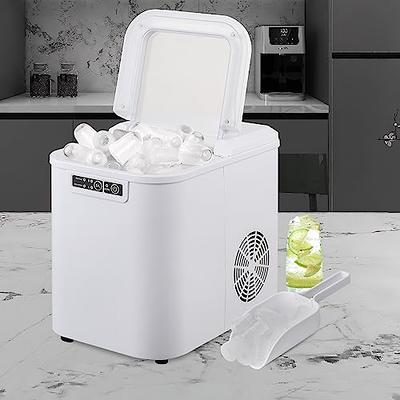 Magshion Ice Maker Countertop 9 Cubes Ready in 10Mins, 26lbs in 24Hours, 2  Sizes Bullet Shaped