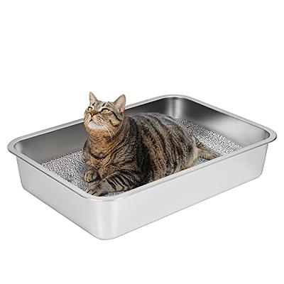  IKITCHEN Stainless Steel Cat Litter Box, Small Low Entry Open  Metal Litter Pan for Kittens Newborn Cats Rabbits, Never Absorbs Odors  15.7 L x 11.7 W x 4 H : Pet