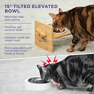 Elevated Cat Bowls, Bowls With Stand, Raised Cat Food Kitten Bowl, Ceramic  Best - Yahoo Shopping