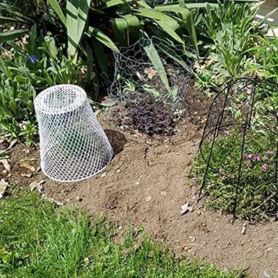 How to Use Cloches and Critter Cages to Protect Young Plants