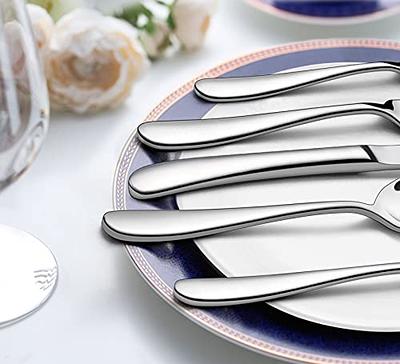 LIANYU 65-Piece Heavy Duty Silverware Set with Serving Utensils