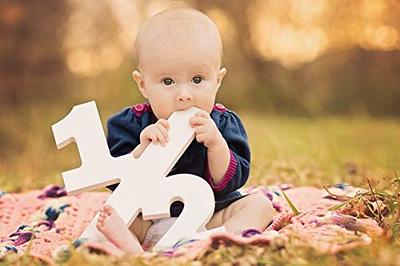 Number One Sign Photo Prop for First Birthday Photo Shoot for Baby  Photographer 