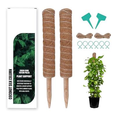 Haispring Plastic Moss Pole 4 Pcs Plant Stakes Extending to 62