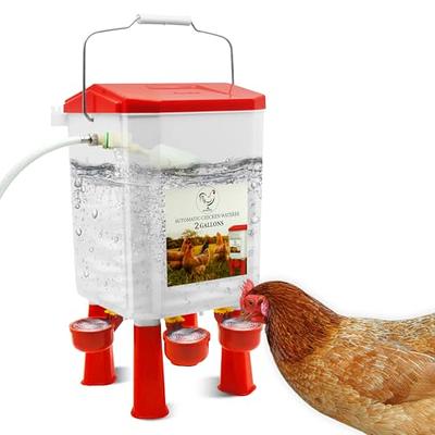 Automatic Chicken Waterer Float Controlled, 3 Gallons Poultry Waterer  Dispenser with Hose Attachment, Poultry Automatic Drinking Accessories for