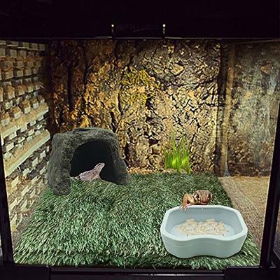 Coconut Hideout House Reptile Terrariums Tarantula Enclosure