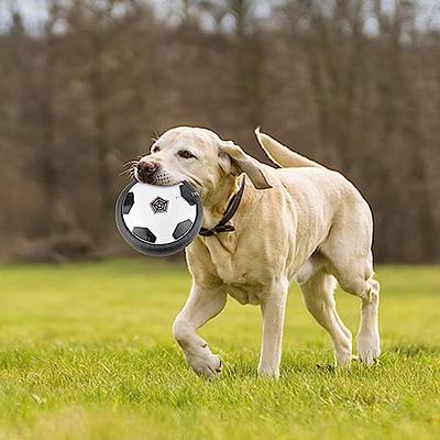 Active Gliding Dog Disc - Motion Activated Active Rolling Ball