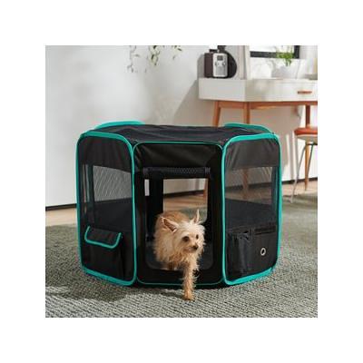 Basics 2-Door Top Load Hard-Sided Dog and Cat Kennel Travel Carrier,  23-Inch