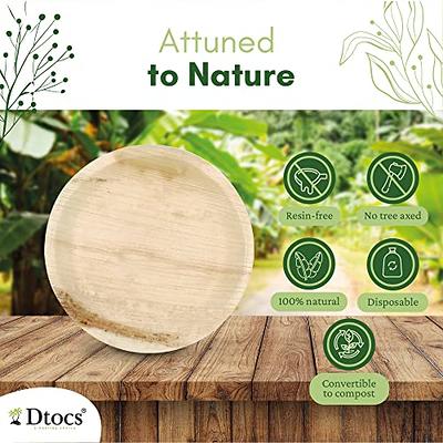 Buy Biodegradable, Plant-Based, Tree Free, Disposable 9 Inch