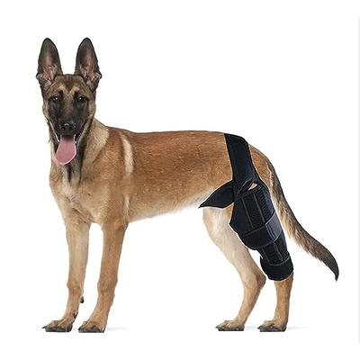 BIXCAER Dog Knee Brace, Leg Brace for ACL with Joint Pain and Muscle Sore,  Cruciate Ligament Injury, Adjustable Dog Rear Leg Bracer Support for Knee  Cap Dislocation Pet Knee Brace (L) 