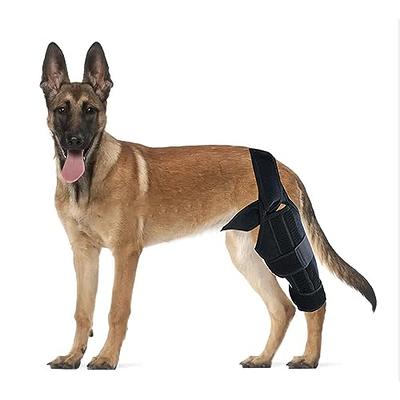 BIXCAER Dog Knee Brace, Leg Brace for ACL with Joint Pain and