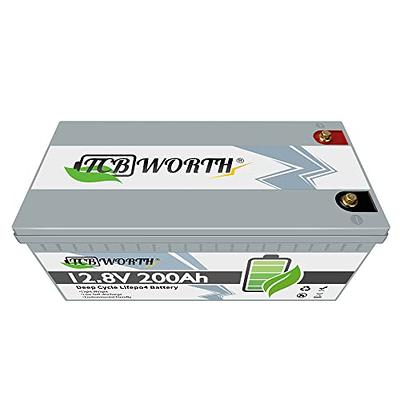 TCBWORTH Lithium Battery 12V 100Ah LiFePO4 Batteries with 100A BMS, Deep  Cycle Rechargeable Lithium Iron Phosphate Battery, for Solar, Marine,  Trolling Motor 