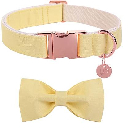 Lionet Paws Boy Dog Collar with Bowtie, Comfortable Adjustable
