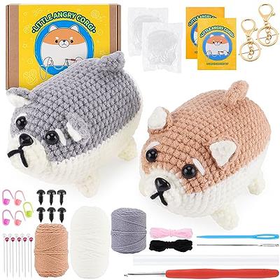 Knit Kit  Beginners 