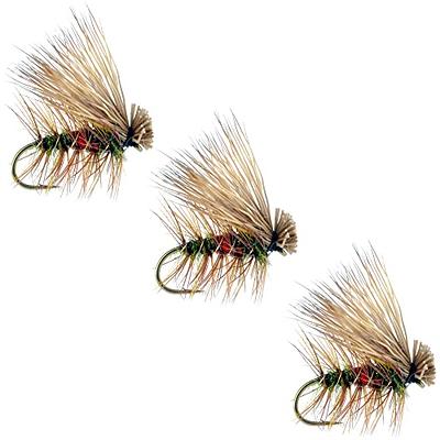 Wild Water Fly Fishing 60 Most Popular Flies in Mini-Mega Assortment with  Small Fly Box incl. Dry, Caddis, Nymph, Wooly Bugger for Trout, Panfish,  Crappie, Sunfish - Yahoo Shopping