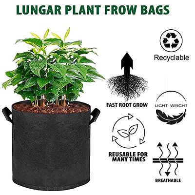 How much can I grow in a 10-gallon Grow Bag?