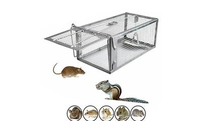 Quality Rat Trap, Humane Live Animal Mouse Cage Traps, Catch And Release  Mice, Rats,chipmunk, Pests, Rodents And Similar Sized Pests For Indoor And  Ou