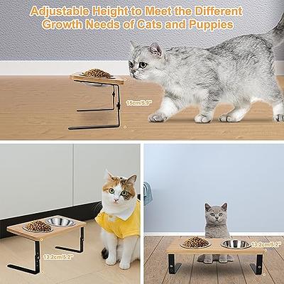 Vermida Elevated Cat Bowls for Food and Water, Stainless Steel Cat Food  Bowls with Bamboo Stand