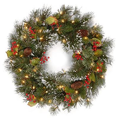 National Tree Company Pre-Lit Artificial Christmas Garland, Green, Eve