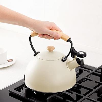 Elitra Stove Top Whistling Fancy Kettle - Stainless Steel Tea Pot with  Ergonomic Handle - 2.7 Qt / 2.6 L - Black