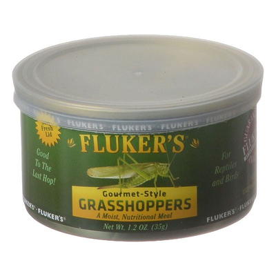 Mack's Natural Reptile Food 3/8 in. Live Crickets at Tractor