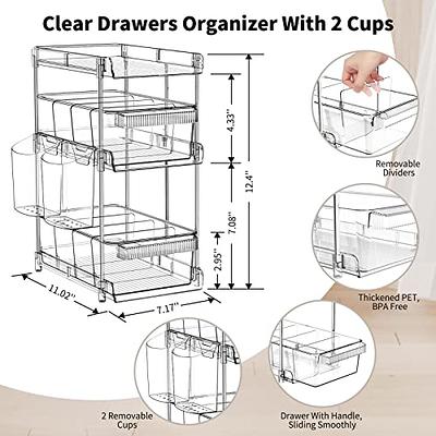 2 Tier Clear Organizers and Storage with Dividers, Pull Out Under