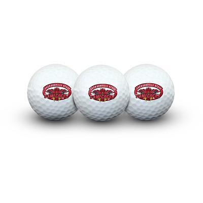 WinCraft Florida State Seminoles Golfing Gift Set