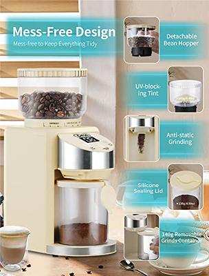 Kaffe Electric Coffee Bean Grinder w/Removable Cup & Cleaning Brush. Easy  On/Off Operation for Espresso, Cold Brew, Herbs, Spices, Nuts. (14 Cup /