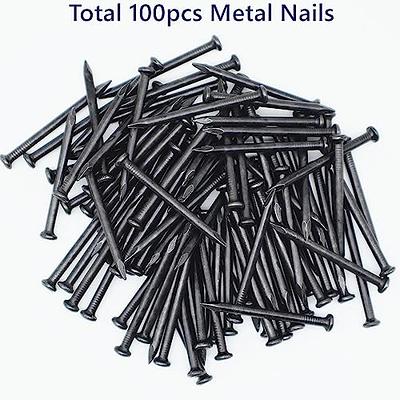 376pcs Premium Hardware Nails Assortment Kit, Maximum Length 2 Inches  Galvanized Nails, Picture Hanging Nails, Wood Nails, Wall Nails with  Storage Box | 6 Sizes : Amazon.in: Home Improvement