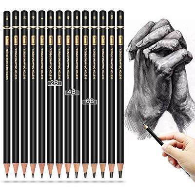 Brusarth Professional Drawing Sketching Pencil Set - 14 Pieces
