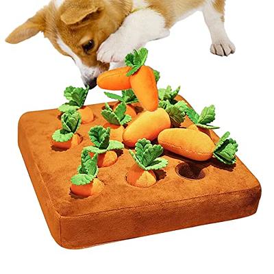 Pull A Carrot Dog Toy