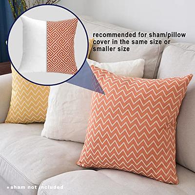 HITO 16x16 Pillow Inserts (Set of 2, White)- 100% Cotton Covering Soft  Filling Polyester Throw Pillows for Couch Bed Sofa