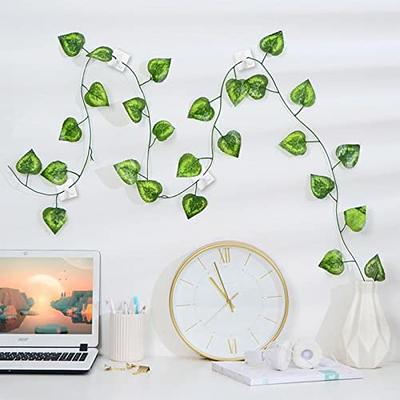 100PCS Invisible Wall Vines Fixing Clips Plant Climbing Holder Fixer  Self-Adhesive Fixture Wall Sticky Hook Plant Support Binding Clip Vines  Holder - Yahoo Shopping