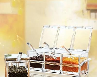 Transparent Condiment Organizer Acrylic Spice Box with Spoons